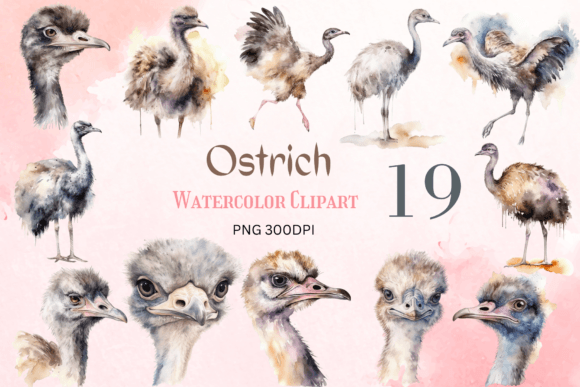 Watercolor Ostrich Clipart Sublimation for Crafts