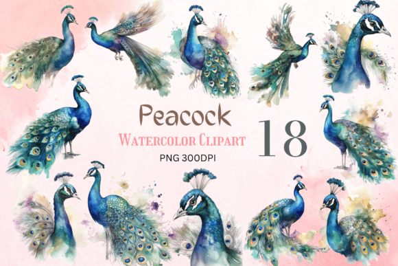 Watercolor Peacock Clipart for Crafts & Branding