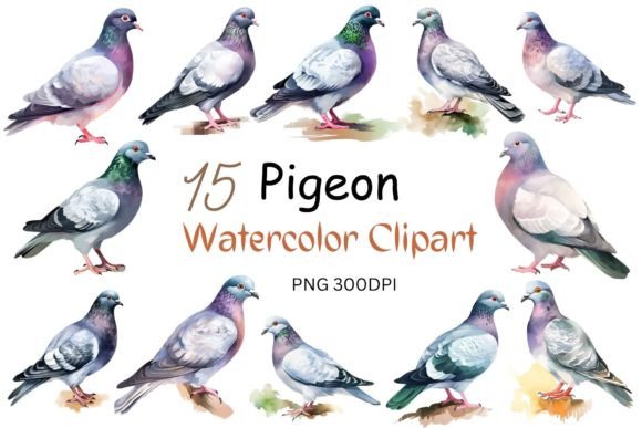 Watercolor Pigeon Clipart Sublimation for Crafts