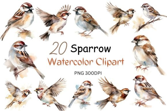 Watercolor Sparrow Clipart for Crafts & Design