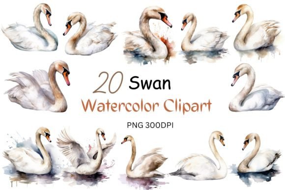 Watercolor Swan Clipart for Crafts & Sales