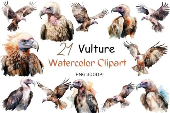 Watercolor Vulture Clipart for Crafts Branding